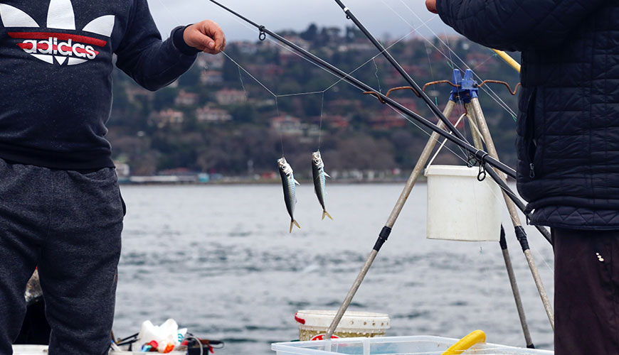 1D Sabit Barkod Okuyucular